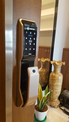 20190904_144621-225x400